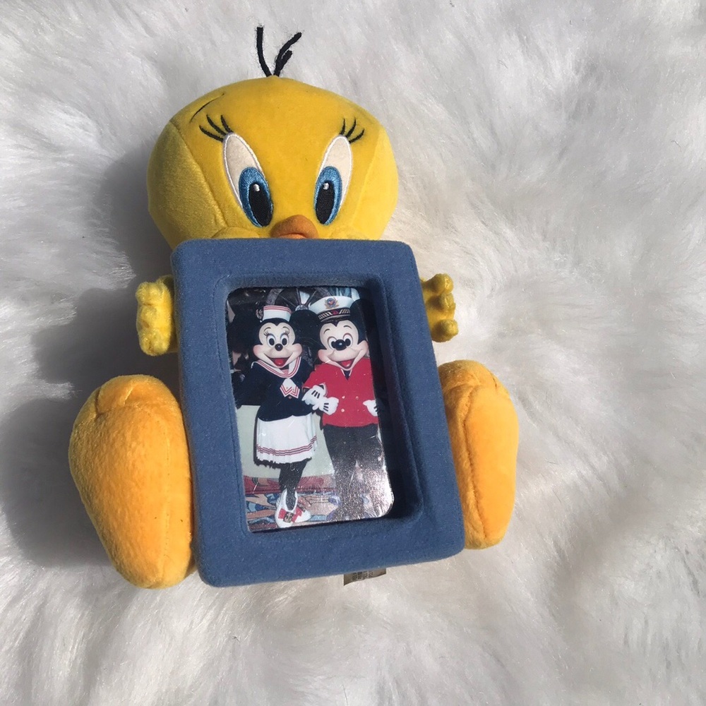 1999 tweety bird picture frame